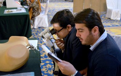 Simulation Colposcopy – a practical way to teach colposcopy